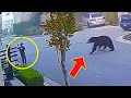 The bear suddenly approached the boy. But the boy's reaction surprised you.