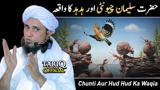 Story | Hazrat Suleman, Chunti Aur Hud Hud Ka Waqia | Mufti Tariq Masood @TariqMasoodOfficial
