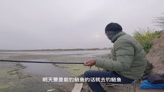 满河长满了水草，趁着现成的草洞作钓，没想到就钓这几条鱼