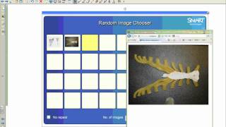 random image chooser