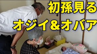 【出産後初対面】初孫を見におじいとおばあがやって来た【生後8日目赤ちゃん】