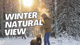 Winter Natural View  || How To  Natural View || শীতের প্রাকৃতিক দৃশ্য অনেক সুন্দর || #winterseason