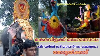 ചിറയിൽ ശ്രീ മാടൻനടക്ഷേത്രം | മകരവിളക്ക് മഹോത്സവം | തോട്ടയ്ക്കാട് 2025