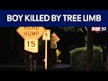 12-year-old boy killed by falling tree limb in New Jersey