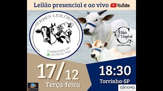 SERBEN LEILÕES - LEILÃO DE GADO- 17/12 - TORRINHA / SP