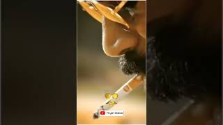 Maari Dhanush Entry Song Full screen video | Feel the music(1)