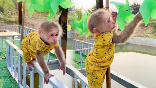 Monkey SuSu and Mom Bond Over Fun Playtime with Colorful New Toys