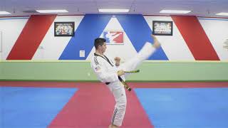 Green Stripe Belt TaeGeuk #4