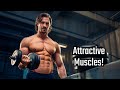 Attractive Muscles: A Scientific Breakdown