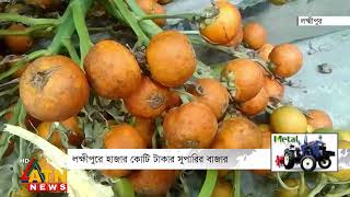 লক্ষ্মীপুরে হাজার কোটি টাকার সুপারির বাজার |Lakshmipur Betelnut | ATN News