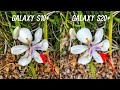 Samsung Galaxy S20+ vs S10+ Camera Comparison Test: Upgrade?