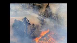 Flora's Lament - sung by Gabriela Chiscari, from Romania