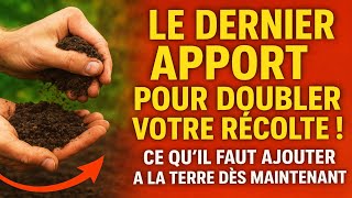 Le DERNIER apport pour doubler votre récolte ! Ce quil faut ajouter à la terre DÈS MAINTENANT.
