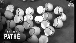 Eggshell Flowers (1939)