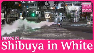 Bike rampage at Shibuya crossing