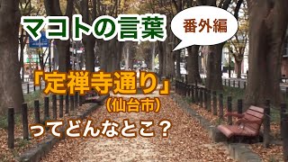 「定禅寺通り」ってどんなとこ？NO.3（番外編！マコトの言葉）［明石誠］