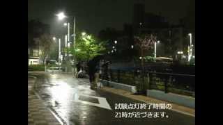 スカイツリー最終試験点灯と報道陣　　2012.4.24 雨の中