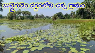 Beautiful Pond | Small Village near Buttaigudem