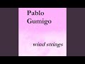 Wind Strings