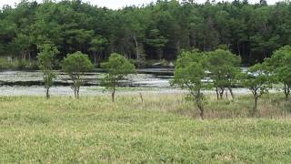 Mount Rausu 羅臼岳 SHIRETOKO GOKO LAKES 知床五湖 らうすだけ Rausu-Dake Hokkaido 北海道 Shiretoko Peninsula 知床半島