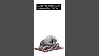 ஃபஜர் தொழுகை யின் சிறப்பு | பயான் | Bayan | Tamil Bayan | #bayan #islamicvideo