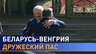 Главная политика Беларуси и Венгрии. Как складывается дружба двух стран?