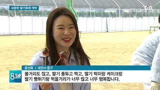 [TJB뉴스]한 딸기 하실래요 새콤달콤 축제