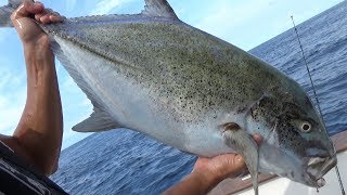 いいサイズのカスミアジが釣れた！