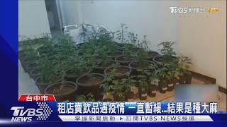 租店賣飲品遇疫情 一直暫緩...結果是種大麻｜TVBS新聞