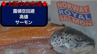 【中央市場】露領空回避に燃料高騰！ノルウェーサーモン値上がり必至です