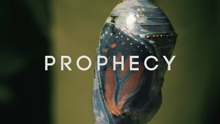 TAMU | Gamma Beta | PROPHECY