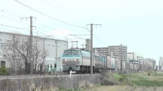 1055レ　EF66  103　　大久保～魚住間　巳野池踏切　2013年4月