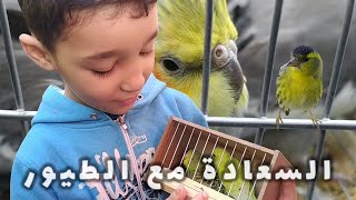 كوكتال من طيور الزينة من قلب سوق بودواو | الجميل هنا ☝️