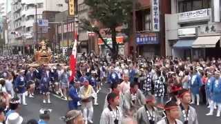 平成26年 深川八幡祭り【 豊洲 】神輿連合渡御。