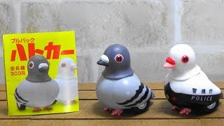 ガチャガチャ キタンクラブ プルバック ハトカー Capsule Toy Pullback Hatocar(Pullback Pigeon Car) 紹介