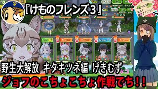 「けものフレンズ3」野生大解放キタキツネ編げきむず　ジョフのこちょこちょ作戦でち!!