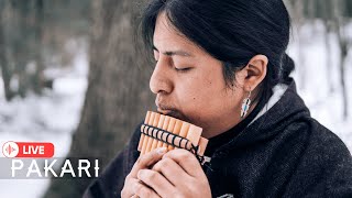 Pakari (Yupanki)- Beautiful Sounds Of Native Flutes