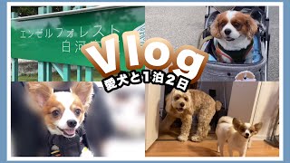 【Vlog】🐶わんちゃん達と1泊２日のお泊まり『エンゼルフォレスト白河高原』