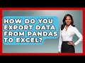 How Do You Export Data From Pandas To Excel? | Python Code School News