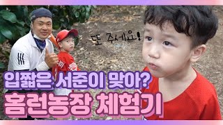 [서준in제주도🏝] 홈런농장 황금향을 처음 먹어본 서준이의 반응은?!🍊 | 서준TV (eng)