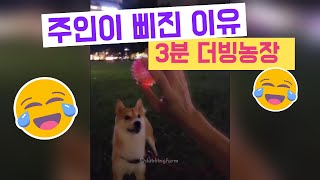 주인이 삐진 이유 #더빙농장 #웃긴동물영상 #동물더빙