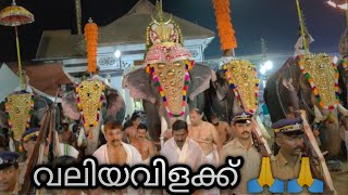 വൈക്കത്തപ്പനെ ശിരസ്സിലേറ്റി പാമ്പാടി രാജൻ ❤️🙏 | Pampadi rajan ❤️