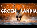 GROENLANDIA – TIERRAS DE HIELO, VIDAS DE ACERO | Documental Completo