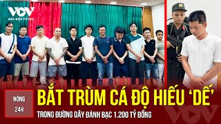 NÓNG 24H: BẮT TRÙM CÁ ĐỘ HIẾU \