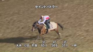 第49回 ハイセイコー記念(SII)の調教追い切り動画