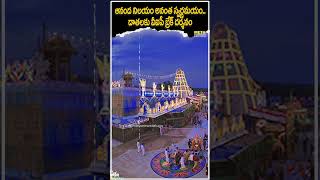 ఆనంద నిలయం అనంత స్వర్ణమయం దాతలకు విఐపీ బ్రేక్ దర్శనం #shorts #tirumala #ttd #telugunews #ytshorts