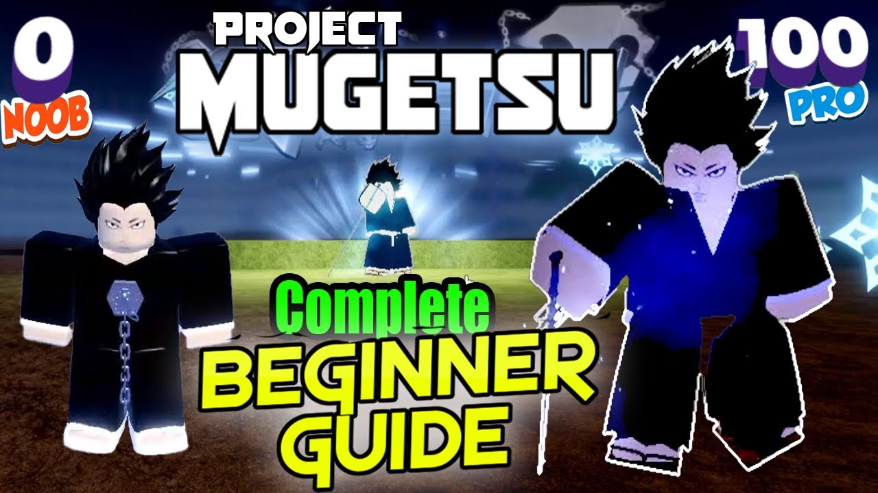 Pm Project Mugetsu Complete Beginners Guide From Noob Level 0 To Max