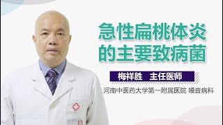 急性扁桃体炎的主要致病菌 有来医生