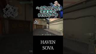 ヘイブンソーヴァのC設置阻止ショックダーツ2 #shorts #valorant #sova #haven