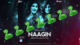 Naagin (Remix) | DJ Nashley | Aastha Gill | Akasa  Puri | Naagin din gin gin gin TIKTOK popular song